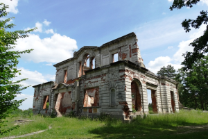 Дворец Терещенко, Дениши